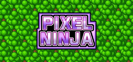 Pixel Ninja