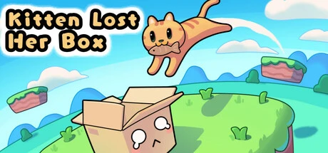 Kitten Lost Her Box
