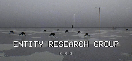 Entity Research Group