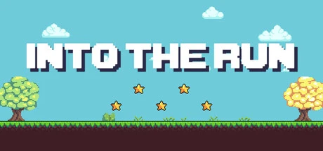 INTO THE RUN