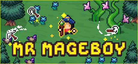 MR MAGEBOY