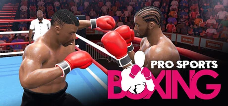 Pro Sports Boxing