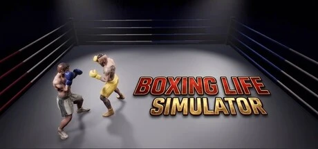 Boxing Life Simulator
